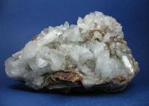 Celestinas