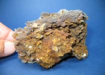 GYPSUM,Yeso
