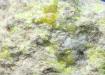 SULPHUR, Azufre