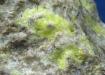 SULPHUR, Azufre 