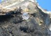 Cuarzo diamante herkimer en matriz