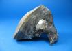 Cuarzo diamante herkimer en matriz