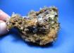 GYPSUM,Yeso