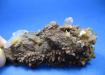GYPSUM,Yeso