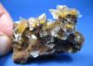 GYPSUM,Yeso