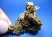 GYPSUM,Yeso