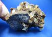 GYPSUM,Yeso