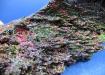 GOETHITE-Goethita Arco Iris