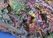 GOETHITE-Goethita Arco Iris