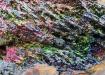 GOETHITE-Goethita Arco Iris