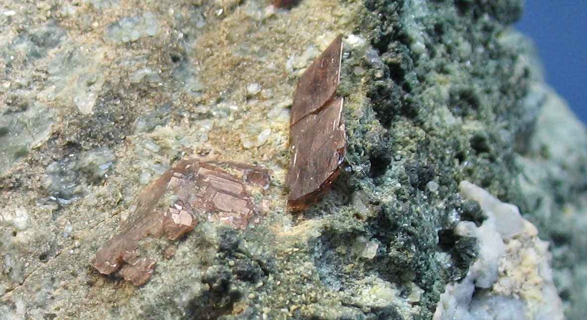AXINITA