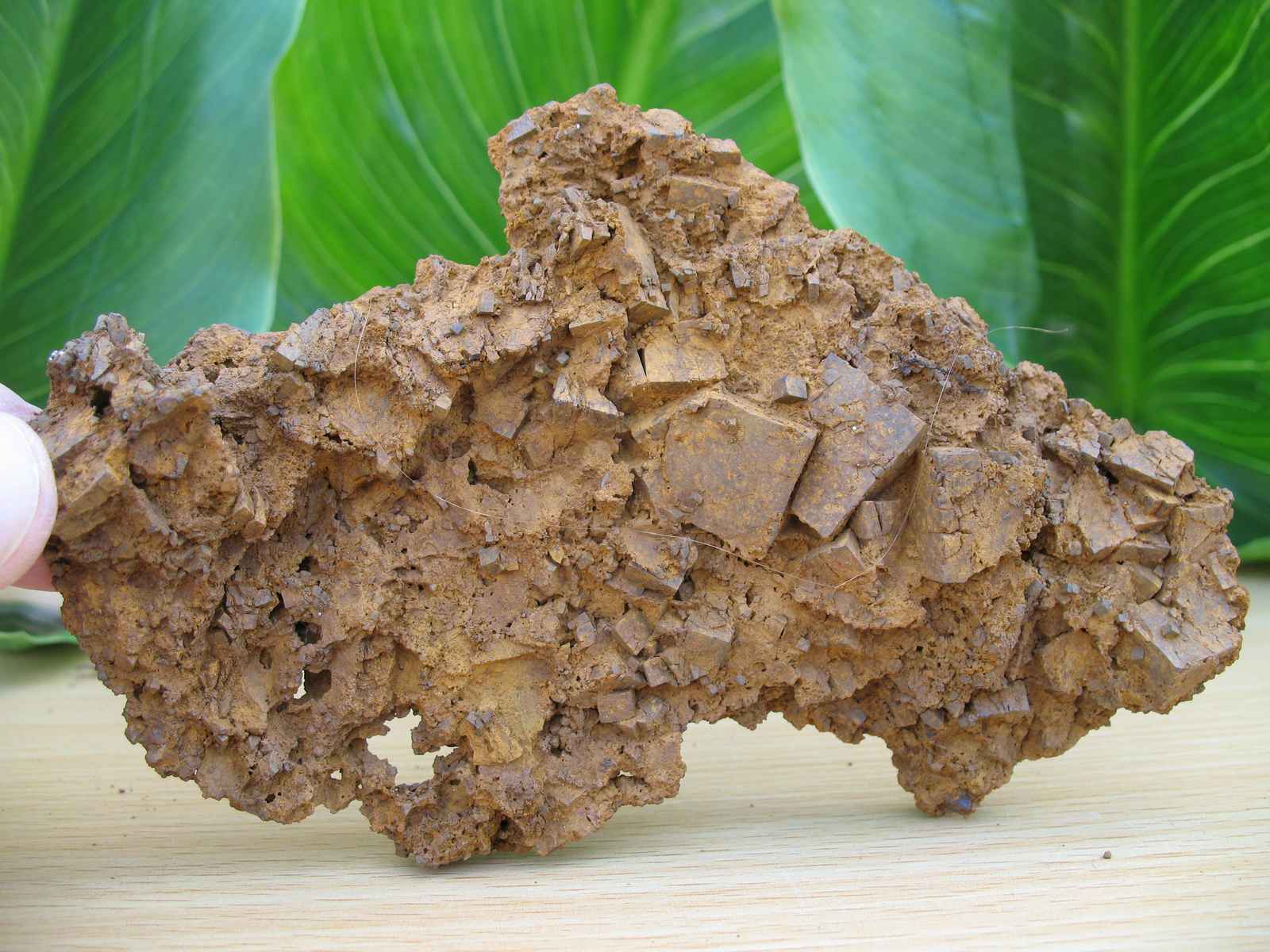 Piritas Limonitizadas