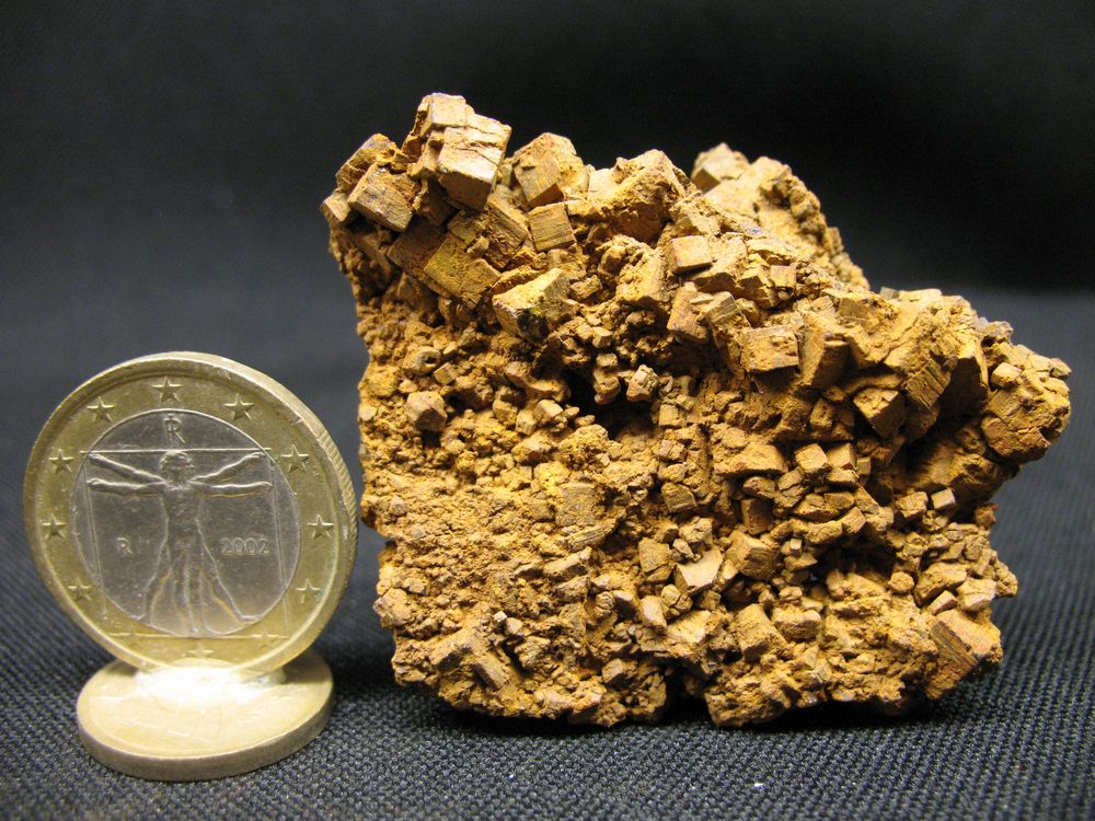 PIRYTA LIMONITISADA